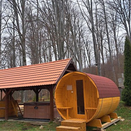 Bed and Breakfast Sebesviz Panzio Repashuta Екстер'єр фото