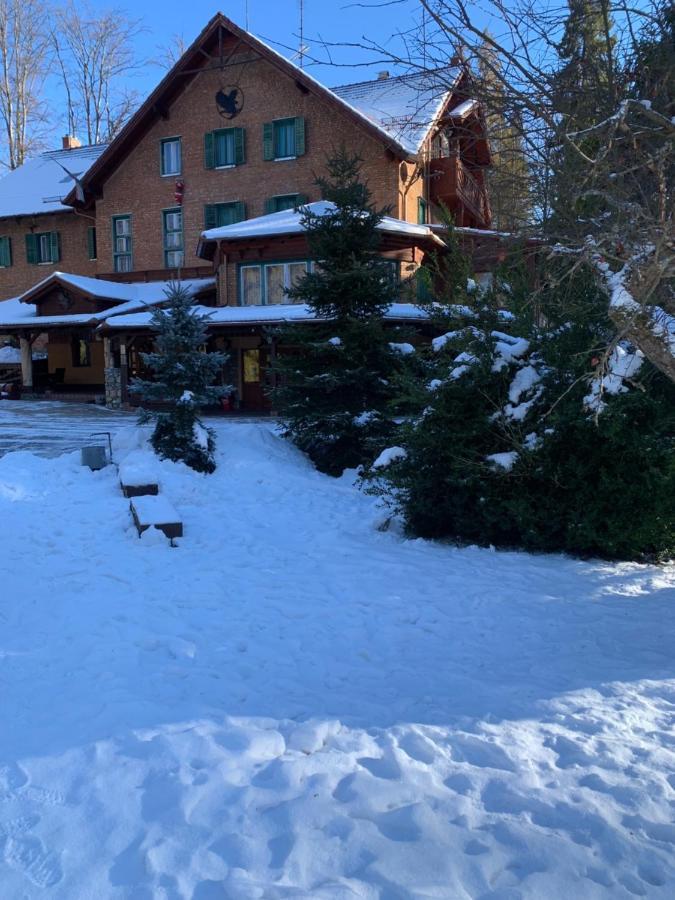 Bed and Breakfast Sebesviz Panzio Repashuta Екстер'єр фото