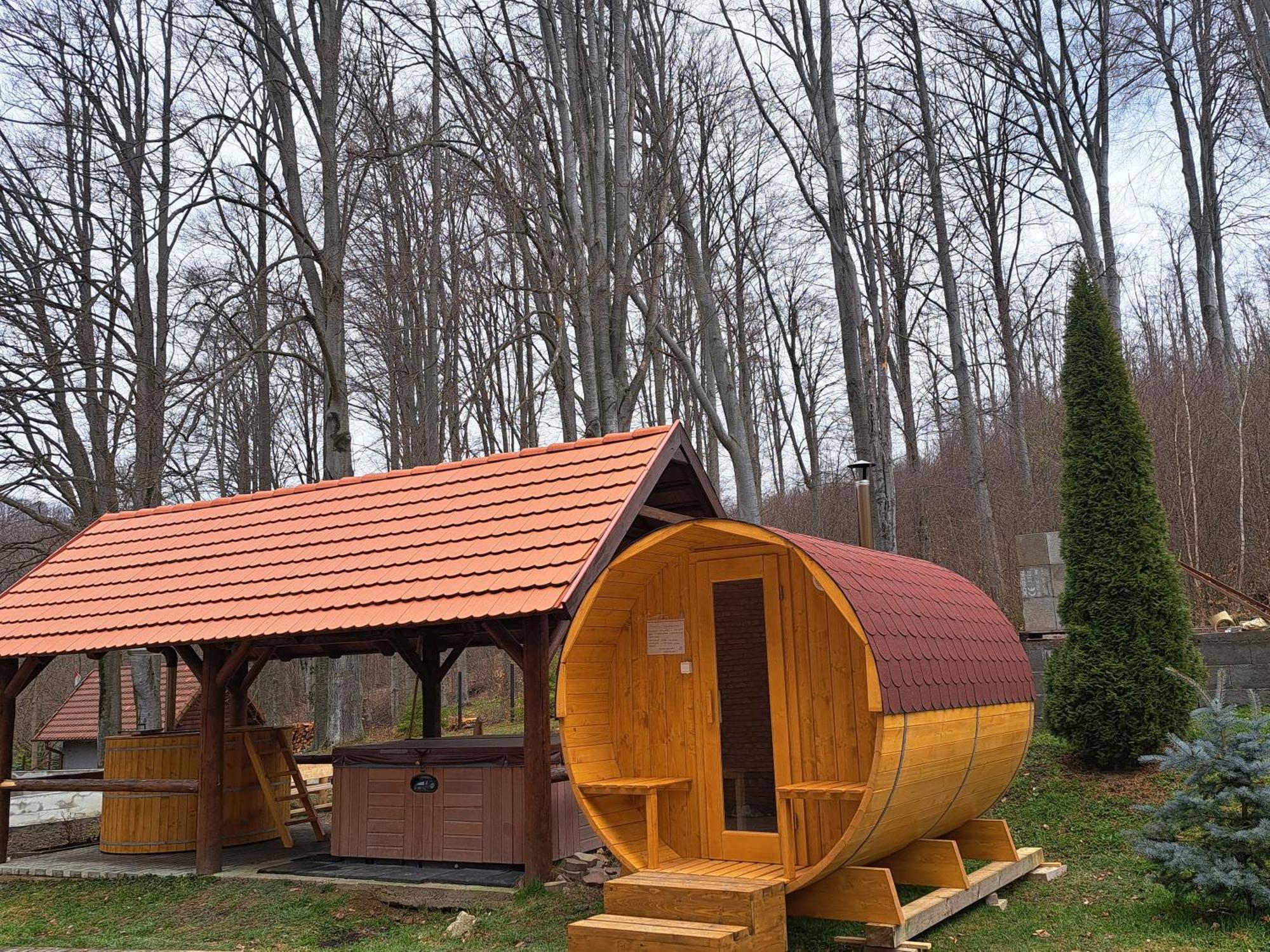 Bed and Breakfast Sebesviz Panzio Repashuta Екстер'єр фото