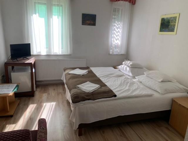 Bed and Breakfast Sebesviz Panzio Repashuta Екстер'єр фото