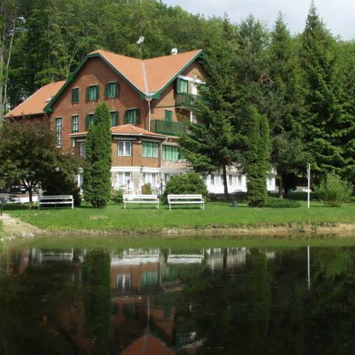 Bed and Breakfast Sebesviz Panzio Repashuta Екстер'єр фото