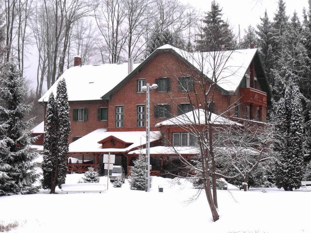 Bed and Breakfast Sebesviz Panzio Repashuta Екстер'єр фото