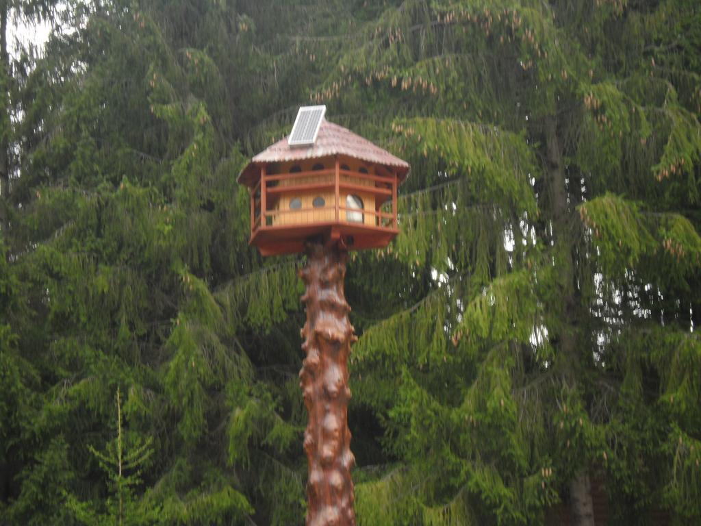 Bed and Breakfast Sebesviz Panzio Repashuta Екстер'єр фото