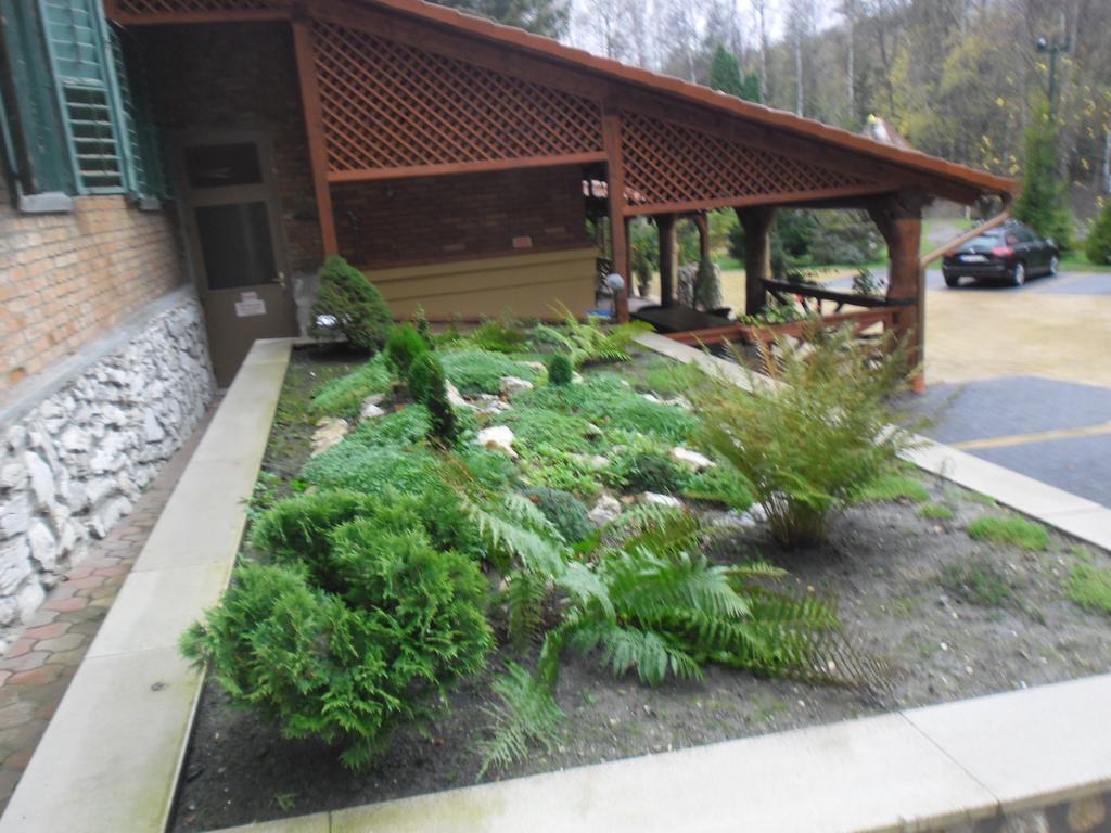 Bed and Breakfast Sebesviz Panzio Repashuta Екстер'єр фото