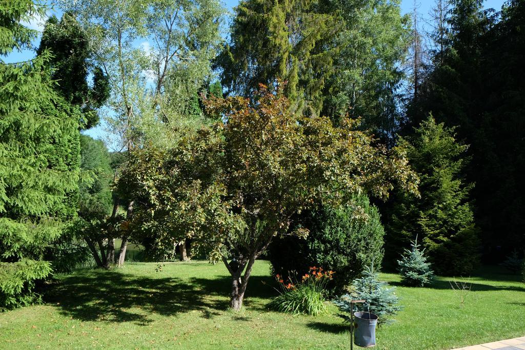 Bed and Breakfast Sebesviz Panzio Repashuta Екстер'єр фото