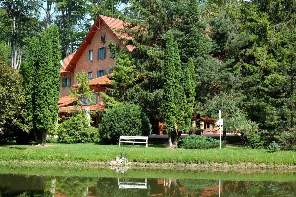 Bed and Breakfast Sebesviz Panzio Repashuta Екстер'єр фото